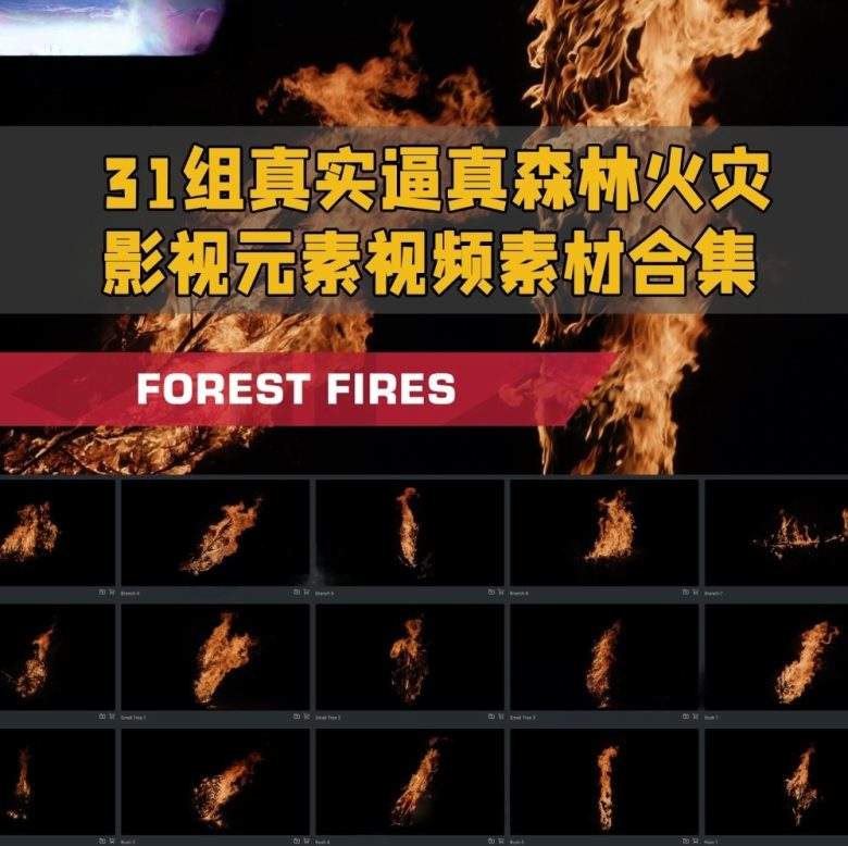 31组真实逼真森林火灾影视元素特效视频素材 百度网盘下载-早彩素材网